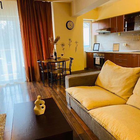 Eclipse Apartment Free Parking Kolozsvár Kültér fotó