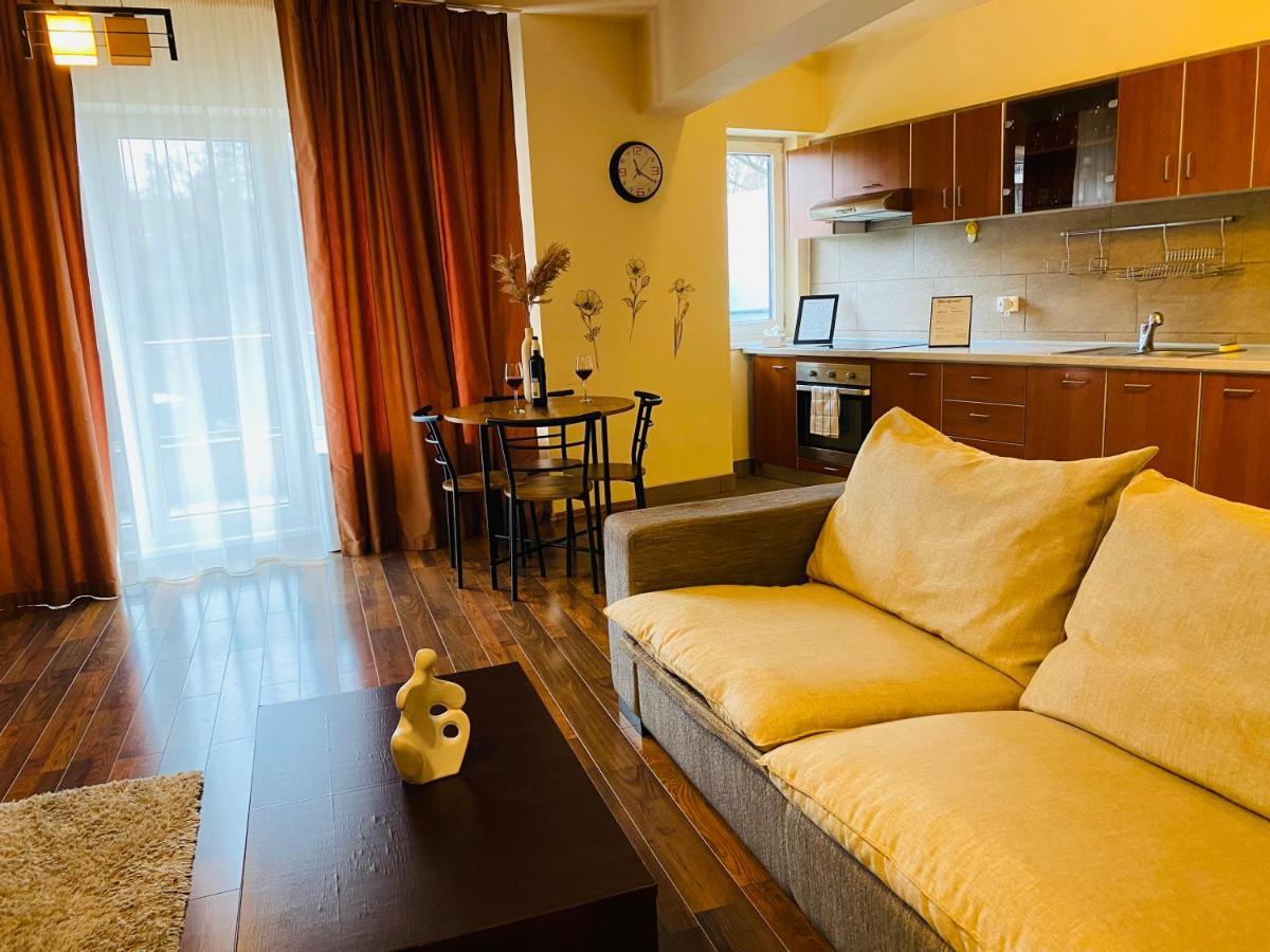Eclipse Apartment Free Parking Kolozsvár Kültér fotó